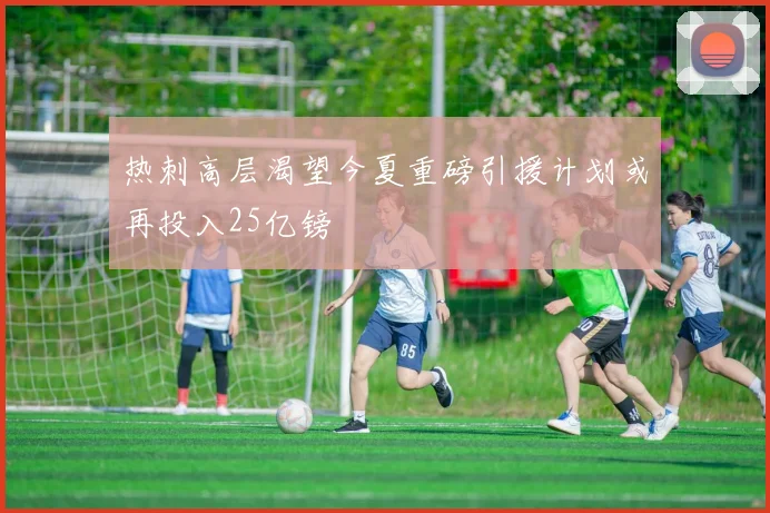 热刺高层渴望今夏重磅引援计划或再投入25亿镑