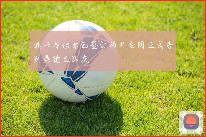 扎卡与切尔西签订两年合同正式告别桑德兰队友